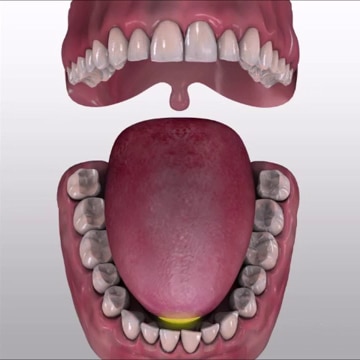 makhraj-visual_dasar